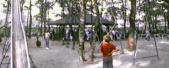 <a href="/lemma/Ponymanege" title="Ponymanege">Ponymanege</a> in <a href="/lemma/1985" title="1985">1985</a>