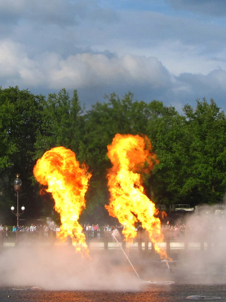 Bestand:Aquanura2012-9.jpg