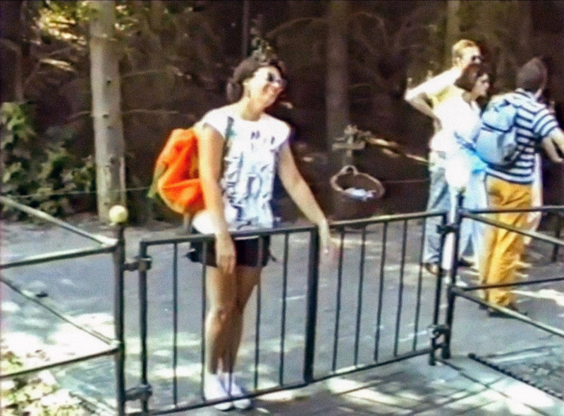 Bestand:Poortjespagodejuni1988.jpg