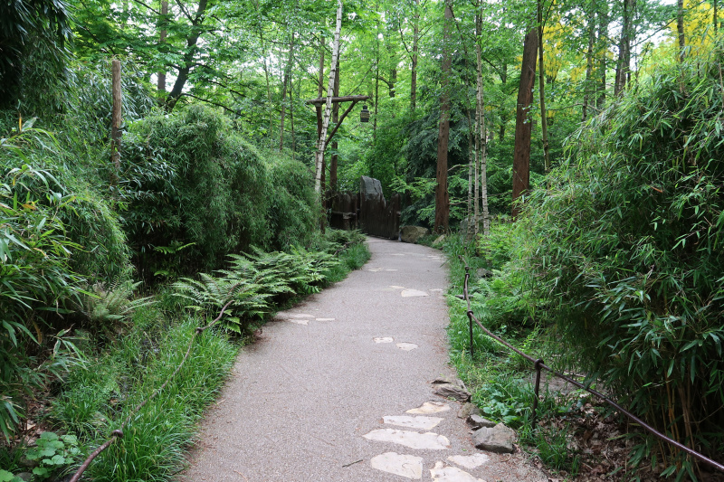 Bestand:PandaDroom Wandelwoud Brug 1.jpg