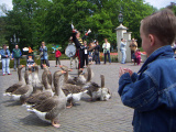 <a href="/lemma/Ganzenfanfare" class="mw-redirect" title="Ganzenfanfare">Ganzenfanfare</a>, 2006