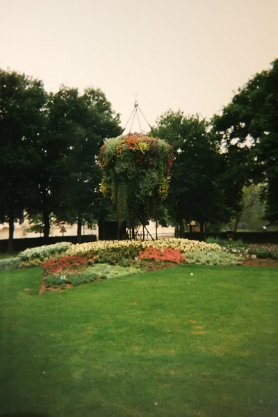 Bestand:Hanging basket bij steenbok.jpg