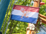 == Beschrijving ==
