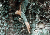 <a href="/lemma/Sprekende_Papegaai" title="Sprekende Papegaai">Sprekende Papegaai</a> in <span class="redlink">1973</span>
