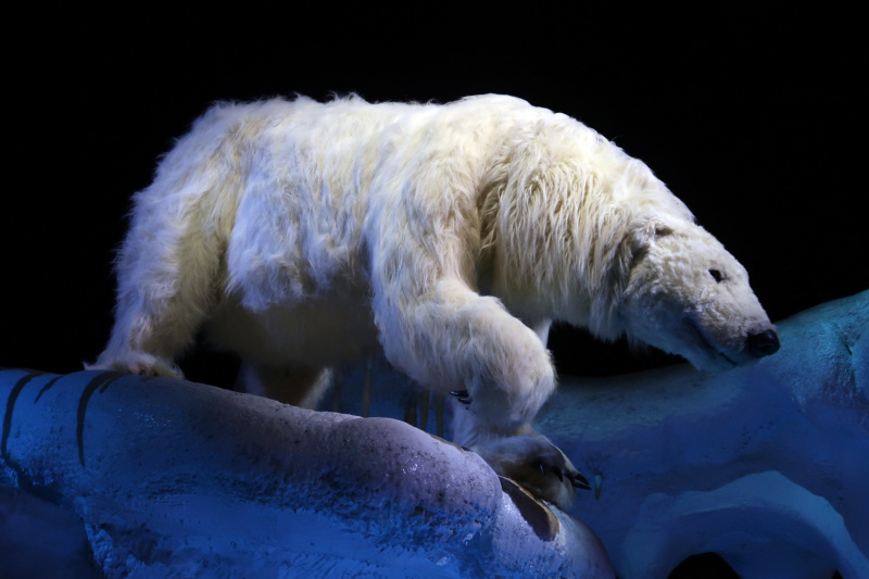 Bestand:Fabula Speelwereld Polen Ursula.jpg