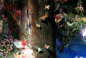 Vlinders in <a href="/lemma/Droomvlucht" title="Droomvlucht">Droomvlucht</a>.