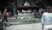 <a href="/lemma/Kleyne_Klaroen" title="Kleyne Klaroen">Kleyne Klaroen</a> in <a href="/lemma/1983" title="1983">1983</a>