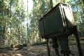 Terrein van voormalig bungalowpark <a href="/lemma/Het_Kraanven" title="Het Kraanven">Het Kraanven</a>, zomer 2009
