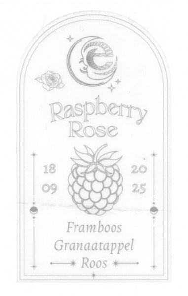 Bestand:Egs-raspberryrose.jpg