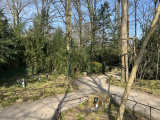 De wachtrij van <a href="/lemma/Fabula" title="Fabula">Fabula</a> gezien vanaf de schildpad tegen de richting in, maart 2025