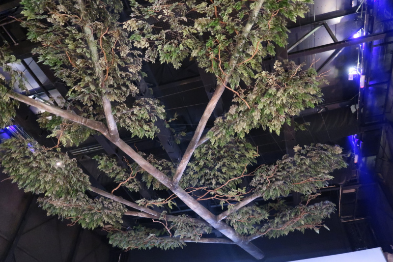 Bestand:PandaDroom Bioscoopzaal Boom.jpg