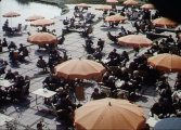 Terras van het <a href="/lemma/Caf%C3%A9-Restaurant" title="Café-Restaurant">Café-Restaurant</a> aan de <a href="/lemma/Siervijver" title="Siervijver">Siervijver</a> in <span class="redlink">1954</span>