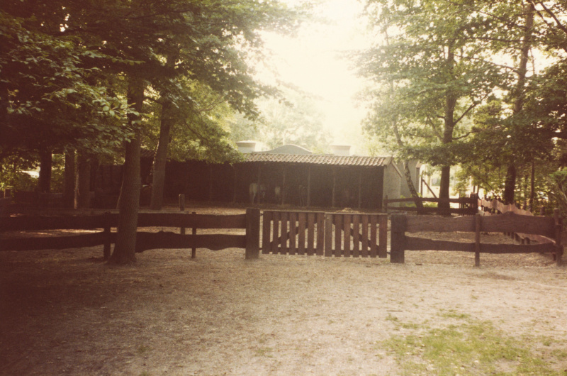 Bestand:Speeltuin stallen ponymanege.jpg