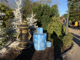 Potkachel nabij de Meermin in december 2019 - Foto: Eftepedia