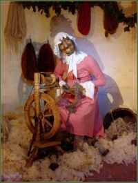 Afbeeldingsresultaat voor kasteel doornroosje efteling boze heks