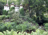 <a href="/lemma/Doornroosje" title="Doornroosje">Doornroosje</a>, 11 juni 2010