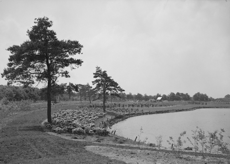 Bestand:Siervijver-1953-huisje.jpg