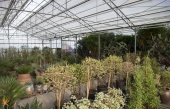 Overzicht plantenkas van de Groendienst - Foto: Efteling Facebook