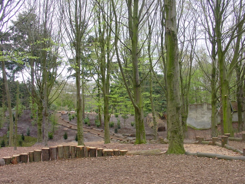 Bestand:Heksenpad april 2004.JPG