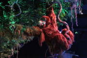 Animatronic van orang-oetan Oek in het jungle-gedeelte van de <a href="/lemma/Speelwereld" title="Speelwereld">Speelwereld</a> van <a href="/lemma/Fabula" title="Fabula">Fabula</a>.