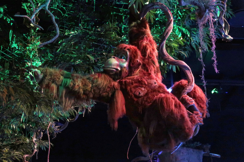 Bestand:Fabula Speelwereld Jungle Oek.jpg