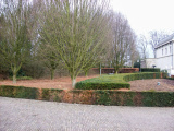 in <a href="/lemma/2008" title="2008">2008</a>