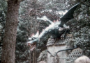 <a href="/lemma/Draak_Lichtgeraakt" title="Draak Lichtgeraakt">Draak Lichtgeraakt</a> met een dubbel zwart sikje in <span class="redlink">1979</span>