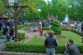 Heel veel bekijks voor een <a href="/lemma/Pauw" title="Pauw">pauw</a> op het <a href="/lemma/Herautenplein" title="Herautenplein">Herautenplein</a> in mei <a href="/lemma/2010" title="2010">2010</a>