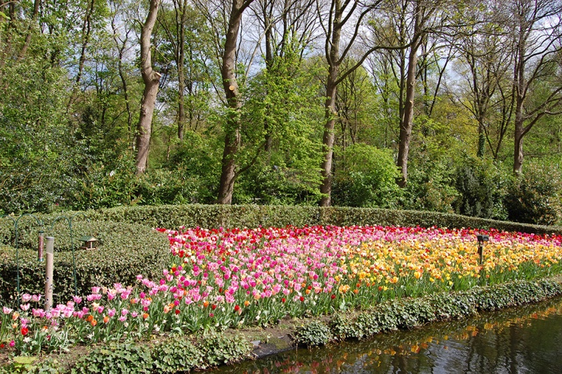 Bestand:Promenade bloemen.jpg