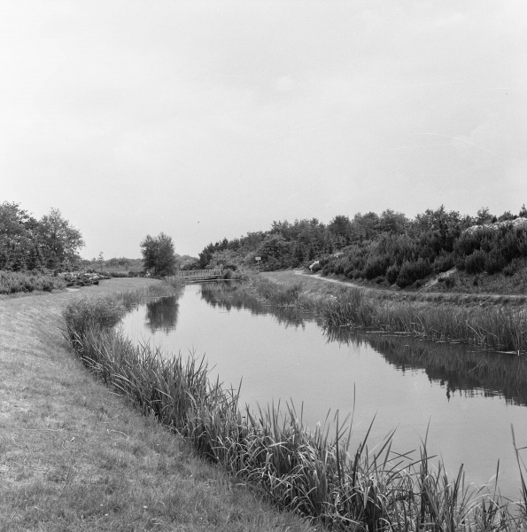 Bestand:Siervijver1958NA-3.jpg