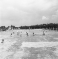 In het <a href="/lemma/Zwembad" title="Zwembad">zwembad</a>, juni 1958