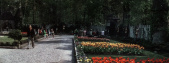 Het <a href="/lemma/Herautenplein" title="Herautenplein">Herautenplein</a> en <a href="/lemma/De_Magische_Klok" title="De Magische Klok">De Magische Klok</a> in <a href="/lemma/1974" title="1974">1974</a>