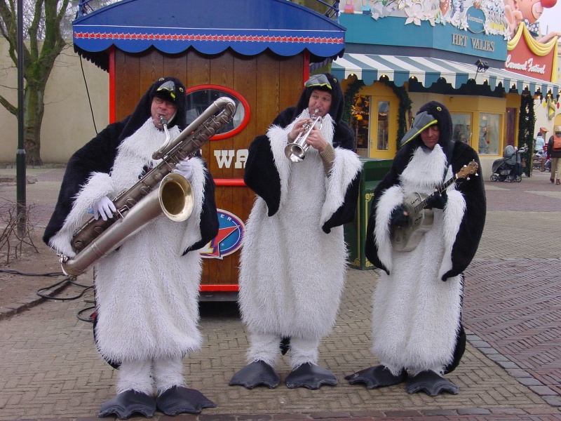 Bestand:Pinguïnorkest.jpg