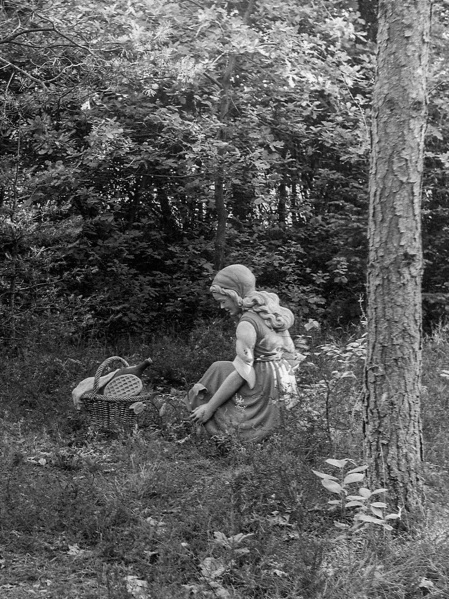 Bestand:Roodkap1953.jpg