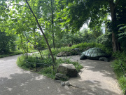 De schildpad in de wachtrij van <a href="/lemma/Fabula" title="Fabula">Fabula</a>, 2025