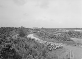 Uitzichtpunt aan de <a href="/lemma/Siervijver" title="Siervijver">Siervijver</a>, juni <a href="/lemma/1958" title="1958">1958</a>.