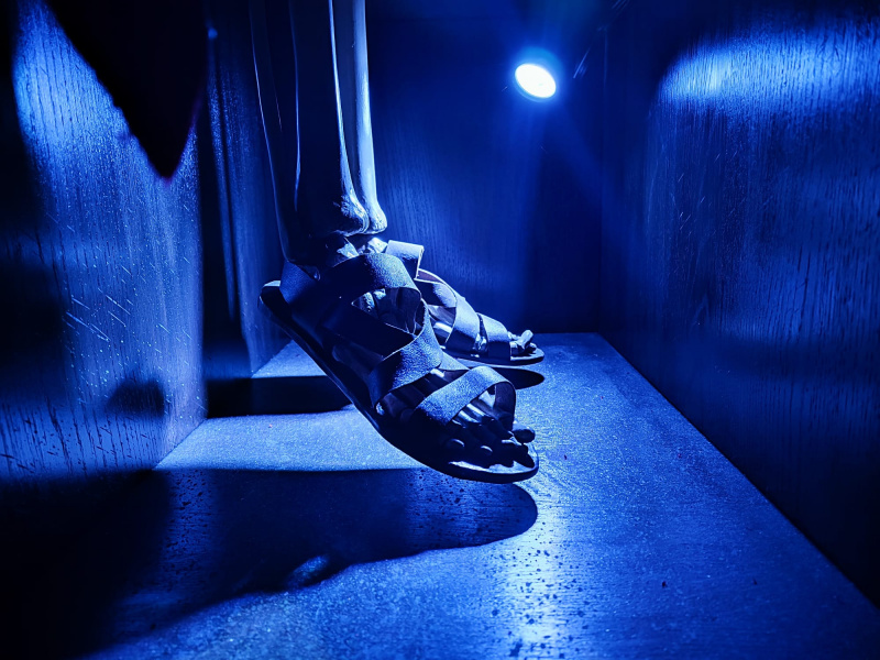 Bestand:DanseMacabreBiechthokVoeten.jpg