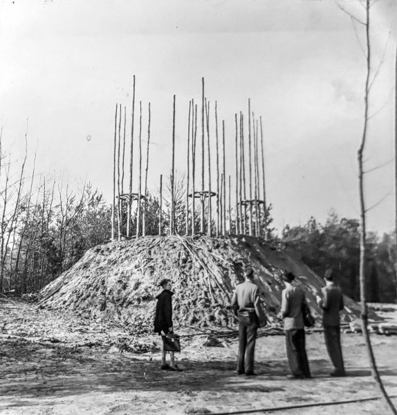 Bestand:Bouwdoornroosjeuitsnede.jpg
