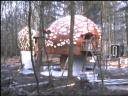 Screenshot uit video &#039;Python, Paddestoelen en Ingang 1975~1980&#039;