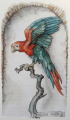 Alternatief ontwerp voor de <a href="/lemma/Sprekende_Papegaai" title="Sprekende Papegaai">Sprekende Papegaai</a> door <a href="/lemma/Anton_Pieck" title="Anton Pieck">Anton Pieck</a> uit <a href="/lemma/Sprookjesboek_van_de_Efteling" title="Sprookjesboek van de Efteling">Sprookjesboek van de Efteling</a>.