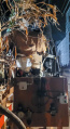 Achter de schermen <a href="/lemma/Spookslot" title="Spookslot">Spookslot</a> in <a href="/lemma/2022" title="2022">2022</a>. Techniek achter en onder de drie rechters in het zolderraam. Pneumatiek en testknopjes.