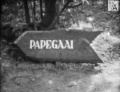 Papegaai-bordje bij <a href="/lemma/Sprekende_Papegaai" title="Sprekende Papegaai">Sprekende Papegaai</a> in <a href="/lemma/1957" title="1957">1957</a>