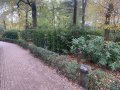 <a href="/lemma/Rookzone" title="Rookzone">Rookzone</a> achter <a href="/lemma/De_Meermin" title="De Meermin">De Meermin</a>, aan het pad naar de <a href="/lemma/Halve_Maen" title="Halve Maen">Halve Maen</a>, november 2022.
