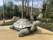 Schildpad in het <a href="/lemma/Wandelwoud" title="Wandelwoud">Wandelwoud</a>, 2026