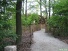 Duinpad <a href="/lemma/De_Vliegende_Hollander" title="De Vliegende Hollander">De Vliegende Hollander</a>, juni <span class="redlink">2006</span>