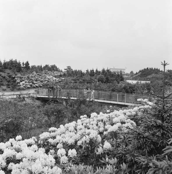 Bestand:Siervijver1958NA-4.jpg