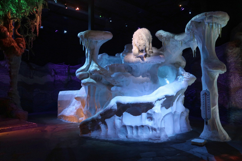 Bestand:Fabula Speelwereld Polen 1.jpg