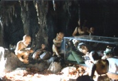 Winter 1998