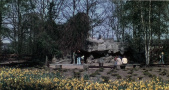 De eerste grot van <a href="/lemma/Sneeuwwitje" title="Sneeuwwitje">Sneeuwwitje</a> in <a href="/lemma/1974" title="1974">1974</a> aan het <a href="/lemma/Herautenplein" title="Herautenplein">Herautenplein</a>, minder dan een jaar voor de grote verbouwing van de rots en het interieur