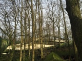 De <a href="/lemma/Bob" title="Bob">Bob</a> slingert zich door eikenbomen zoals gezien vanuit de wachtrij van de attractie.